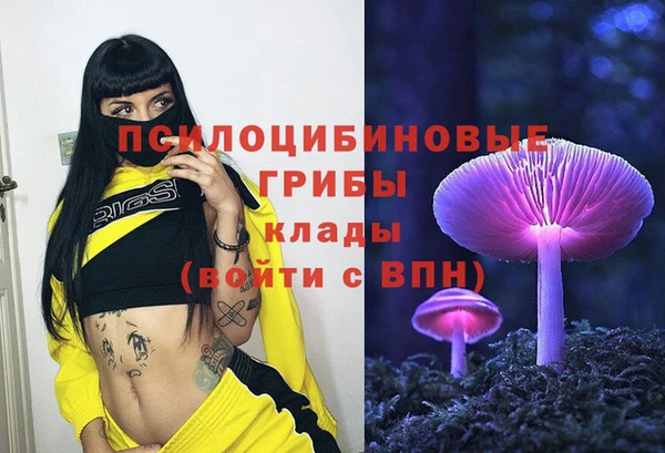 дурь Алзамай