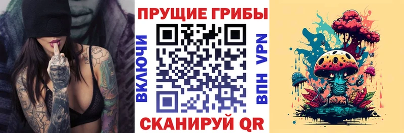 Купить  Стрежевой  Галлюциногенные грибы мухоморы 